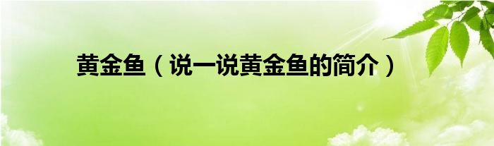 黄金鱼（说一说黄金鱼的简介） 