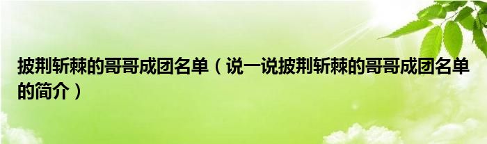 披荆斩棘的哥哥成团名单（说一说披荆斩棘的哥哥成团名单的简介） 