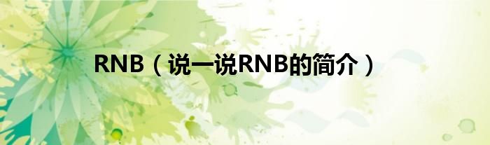 RNB（说一说RNB的简介） 