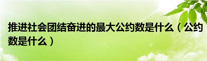 推进社会团结奋进的最大公约数是什么（公约数是什么） 