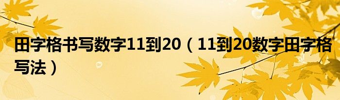 田字格书写数字11到20（11到20数字田字格写法） 