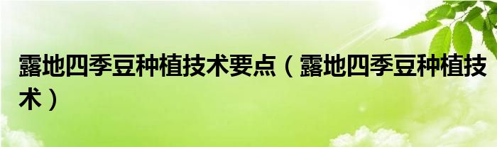 露地四季豆种植技术要点（露地四季豆种植技术） 