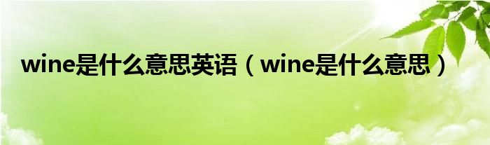 wine是什么意思英语（wine是什么意思）