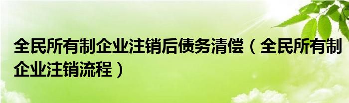 全民所有制企业注销后债务清偿（全民所有制企业注销流程） 